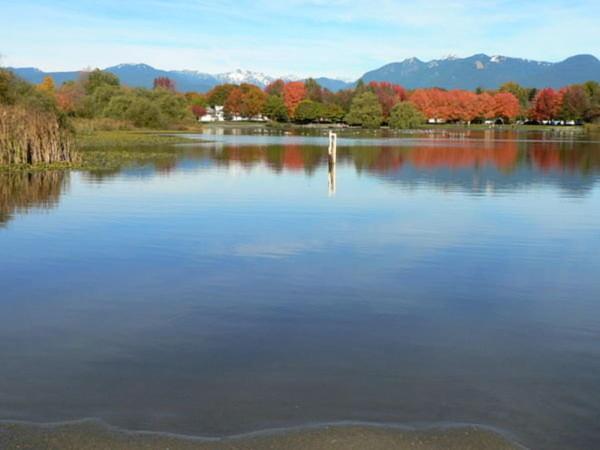 Rare Find Exquisitely New Quiet & Safe Skytrain Home Vancouver Ngoại thất bức ảnh